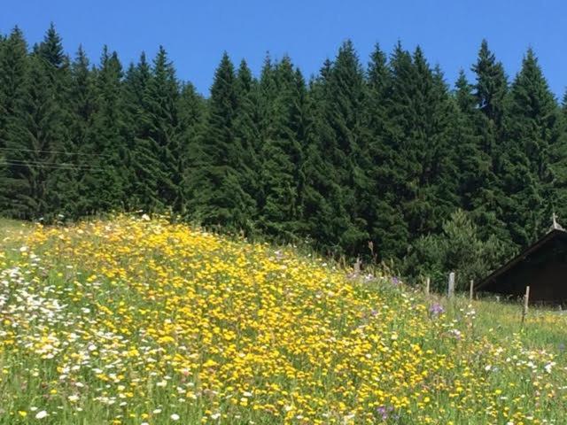 Appartamento Residenz Am Berg Jochberg Esterno foto